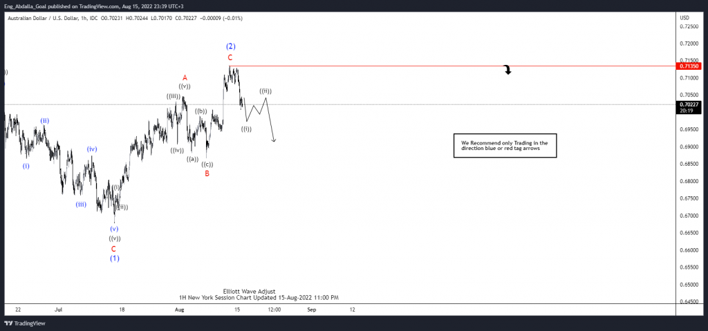 Elliott Wave View: AUDUSD any Rally it can Fail for More Downside